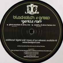 Load image into Gallery viewer, Blackwatch &amp; Greed (2) : Gentle Rain (12")
