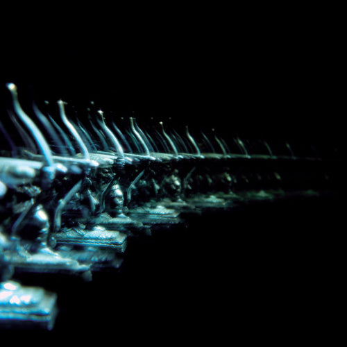 Ose (7) : Ellipsis (LP, Album)