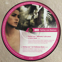 Load image into Gallery viewer, Gamat 3000 : Feeling Love (Remixes) (12")
