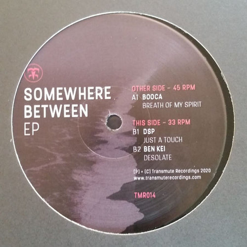 Various : Somewhere Between EP (12