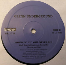 Load image into Gallery viewer, Glenn Underground : House Music Will Never Die (12&quot;, RP)
