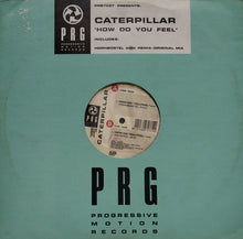 Load image into Gallery viewer, Caterpillar : How Do You Feel (12&quot;, Promo)
