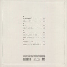 Load image into Gallery viewer, The Twilight Sad : No One Can Ever Know (2xLP, Ltd, RE, Bur)
