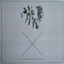 Load image into Gallery viewer, The Twilight Sad : No One Can Ever Know (2xLP, Ltd, RE, Bur)

