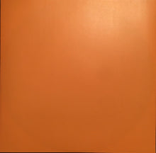 Load image into Gallery viewer, Autechre : SIGN (2xLP, Album)
