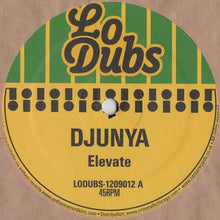 Load image into Gallery viewer, Djunya : Elevate (12&quot;)
