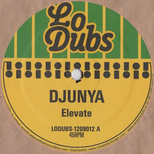 Djunya : Elevate (12