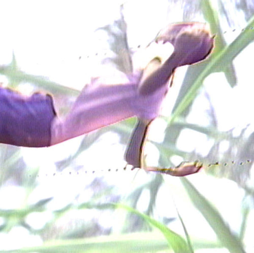 John Zieman : New York City 1980-1984 (LP)