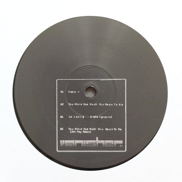 Vanisher (2) : You Know How Much You Mean To Me (12