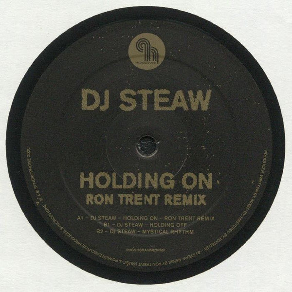 DJ Steaw : Holding On (Ron Trent Remix) (12