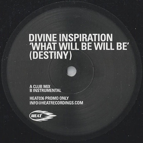 Divine Inspiration : What Will Be Will Be (Destiny) (12