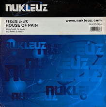 Load image into Gallery viewer, Fergie &amp; BK : House Of Pain (12")
