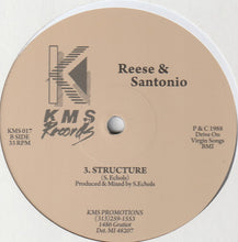 Load image into Gallery viewer, Reese &amp; Santonio : Truth Of Self Evidence  (12", RE, RM, Cle)
