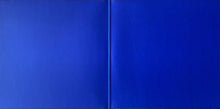 Load image into Gallery viewer, The Bug Ft. Dis Fig : In Blue (2x12&quot;, Album, Blu)

