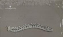 Load image into Gallery viewer, Kill Memory Crash : When The Blood Turns Black (12&quot;)
