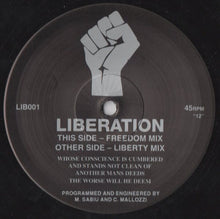 Load image into Gallery viewer, Liberation : Liberation (12", Single)
