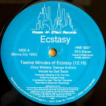 Load image into Gallery viewer, Ecstasy* : Twelve Minutes Of Ecstasy (12")
