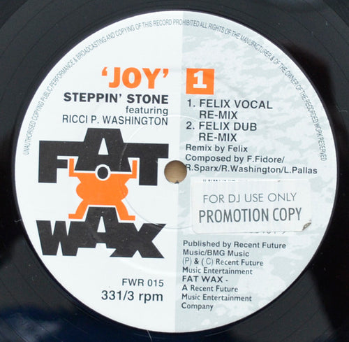 Steppin' Stone* Featuring Ricci P. Washington : Joy (12