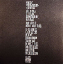 Load image into Gallery viewer, Oleg Poliakov : Rainy Dayz (12")
