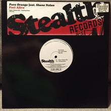Load image into Gallery viewer, Pure Orange Feat. Shane Nolan : Feel Alive (12&quot;)
