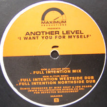 Load image into Gallery viewer, Another Level : I Want You For Myself (12&quot;)
