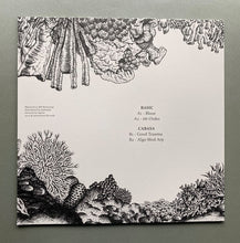 Load image into Gallery viewer, Basic (31), Cabasa (3) : Young Blood Ep (12", EP)
