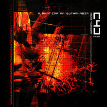 Load image into Gallery viewer, Cause 4 Concern : Phat Cap / Euthanasia (12")
