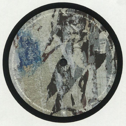 Alan Fitzpatrick : Immortal Daydream EP  (12