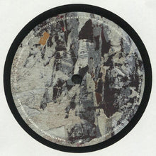 Load image into Gallery viewer, Alan Fitzpatrick : Immortal Daydream EP  (12&quot;, EP)
