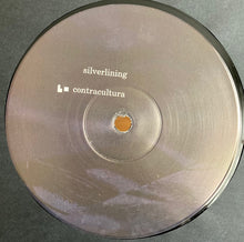 Load image into Gallery viewer, Silverlining : Simulacra (2x12&quot;, Album)
