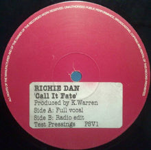 Load image into Gallery viewer, Richie Dan : Call It Fate (12", TP)
