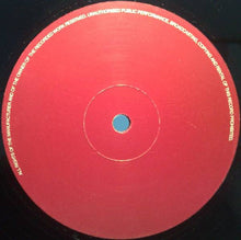 Load image into Gallery viewer, Richie Dan : Call It Fate (12", TP)
