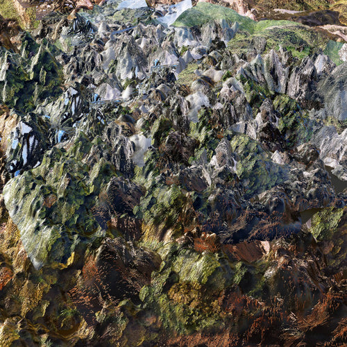 Genetisis : Genetisis (LP, Album, Ltd)