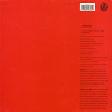 Load image into Gallery viewer, Love &amp; Sex Featuring Dareena : Boyfriend (12&quot;)
