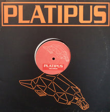 Load image into Gallery viewer, Poltergeist : Vicious Circles (12")
