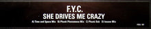 Load image into Gallery viewer, F. Y. C.* : She Drives Me Crazy (2x12", Promo)
