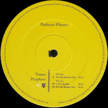 Load image into Gallery viewer, Transa : Prophase (12")

