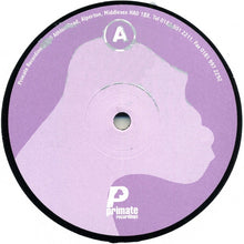 Load image into Gallery viewer, Various : Synthesized Symmetry E.P. (2x12", EP)
