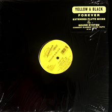 Load image into Gallery viewer, Yellow &amp; Black : Forever (12")
