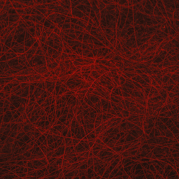 Ronce : Malignant (LP, Album, Ltd)