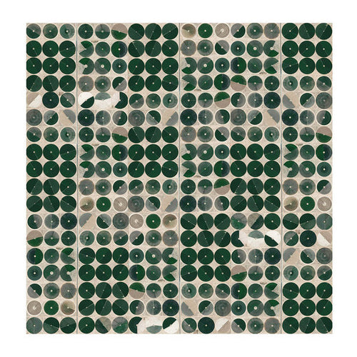 Tangent (8) : Evolutionary Cycles (LP, Album, Ltd, Whi)