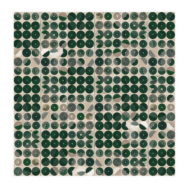 Tangent (8) : Evolutionary Cycles (LP, Album, Ltd, Whi)