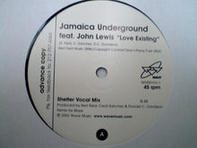 Load image into Gallery viewer, Jamaica Underground : Love Existing (Blaze Remixes) (12", Promo)
