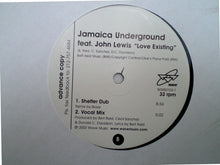 Load image into Gallery viewer, Jamaica Underground : Love Existing (Blaze Remixes) (12", Promo)
