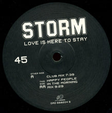 Load image into Gallery viewer, Storm : Love Is Here To Stay (12&quot;)
