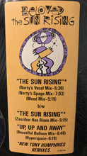 Load image into Gallery viewer, The Beloved : The Sun Rising (12", Single)
