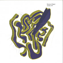 Load image into Gallery viewer, Roman Flügel : Anima EP (12&quot;, EP)
