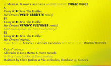 Load image into Gallery viewer, Cassy + Dave The Hustler : Her Dream (12")
