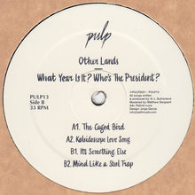 Load image into Gallery viewer, Other Lands : What Year Is It? Who&#39;s The President? (12&quot;, EP)

