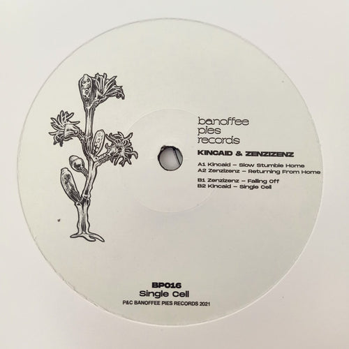 Kincaid (5), Zenzizenz : Single Cell (12